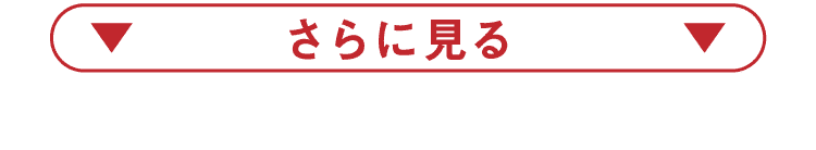 さらに見る