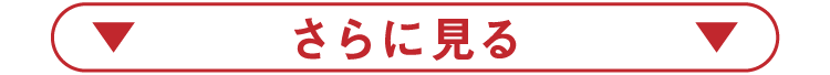 さらに見る