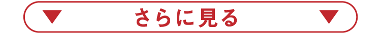 さらに見る