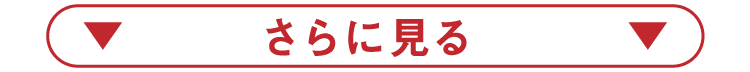 さらに見る