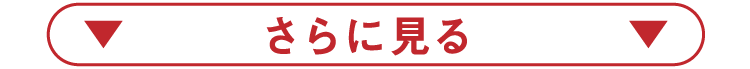 さらに見る