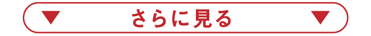 さらに見る