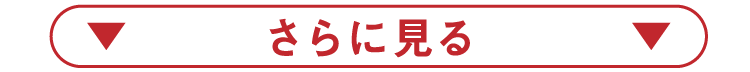 さらに見る