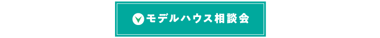 モデルハウス相談会